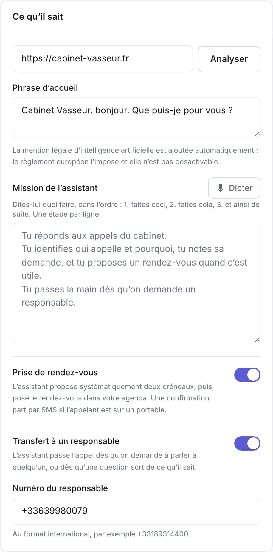 Le formulaire de l’assistant : adresse du site, phrase d’accueil, et ce qu’il doit faire.